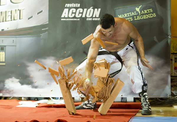 Gran éxito del International Open Martial Arts “Parque Warner”