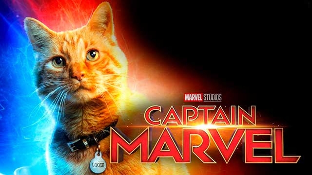 Primeras reacciones a Capitana Marvel, el gato Goose protagonista.