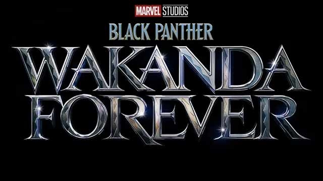 Ya hay sinopsis para Black Panther 2