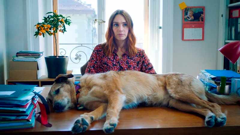 Diario de Cannes: Le procés du chien (Dog on Trail) de Laetitia Dosch